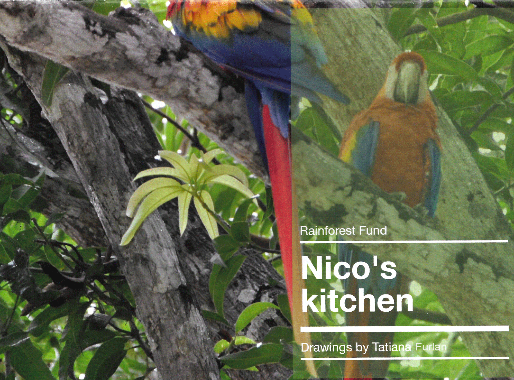 Nicos_Kitchencover-book