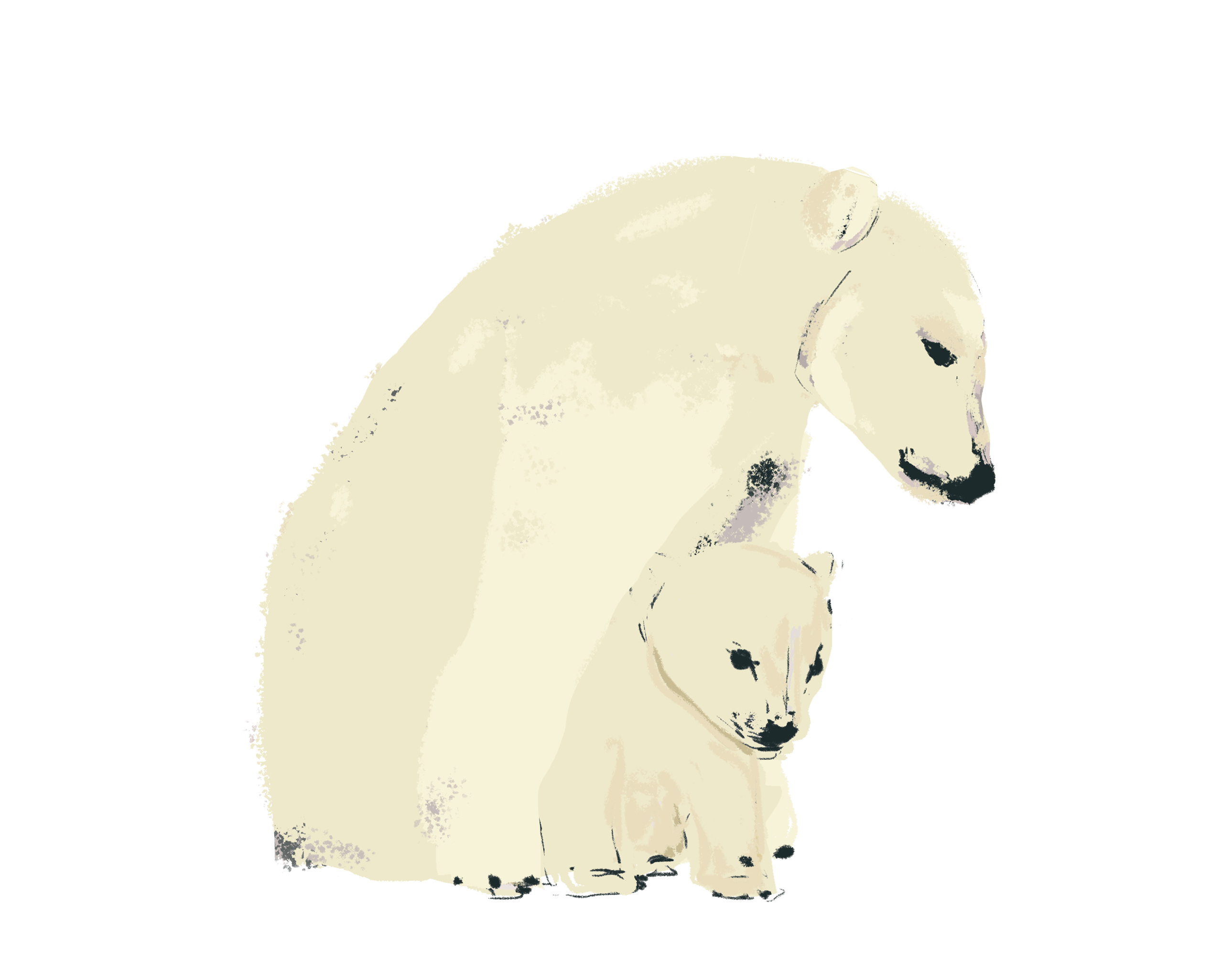 bear_white