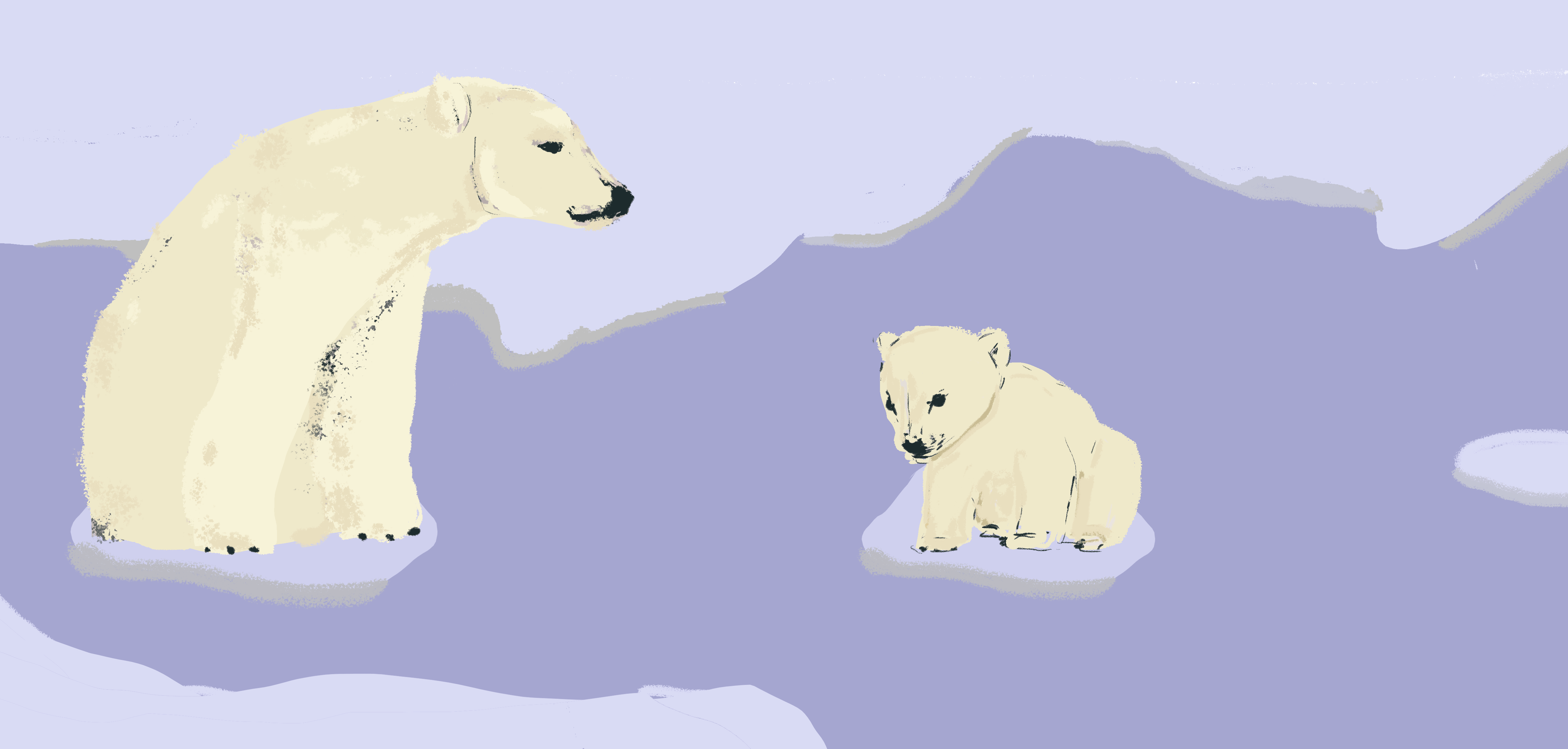 bears_polar