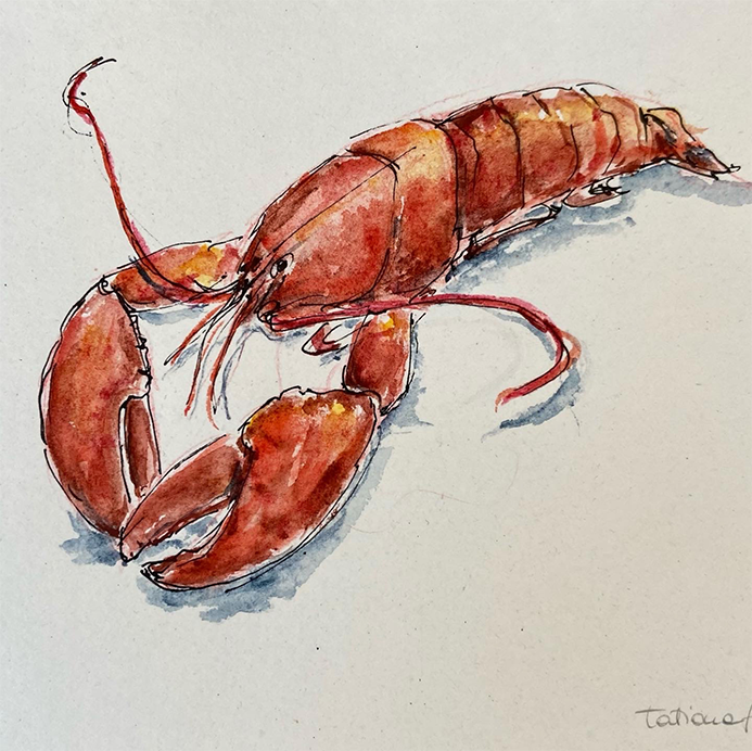 AnimalsColletion_lobster