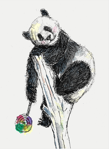 AnimalsColletion_panda