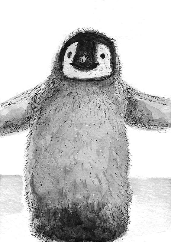 AnimalsColletion_penguin