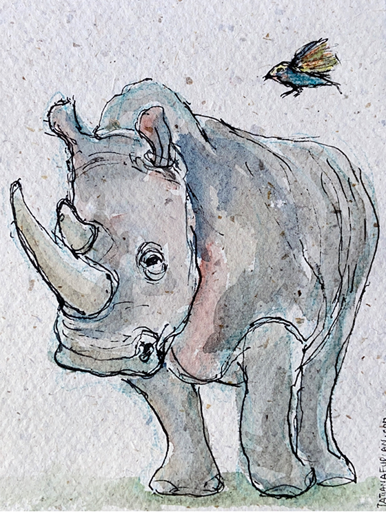AnimalsColletion_rhino