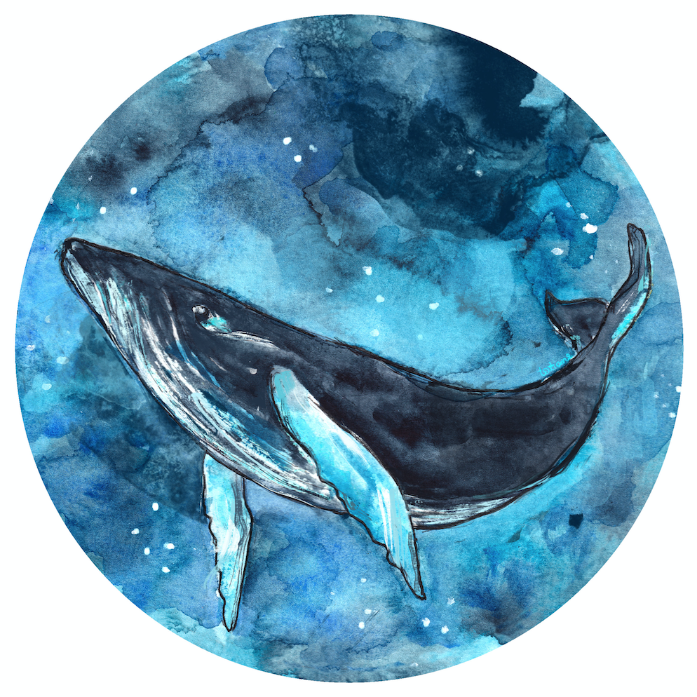 Blue Whale x Stereohype's 18th Competition