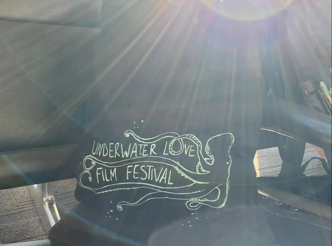 Schermata 2026-02-08 alle 16.05.11